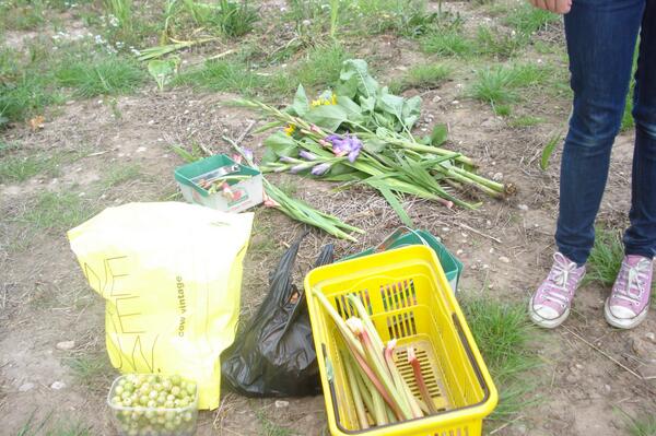 Fruit picking at Essington PYO farm yesterday. Lots of ideas for our own community garden.