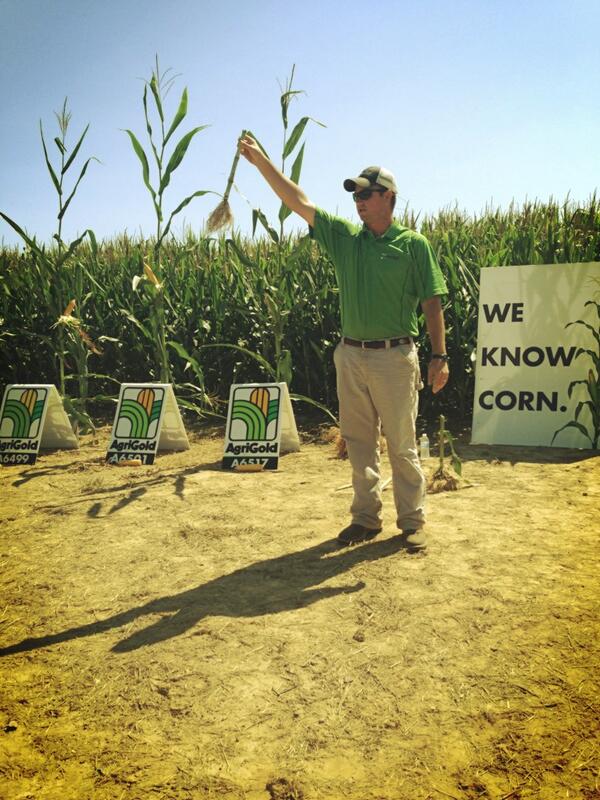 SusanPcamp's tweet photo. @MitchHolmberg discussing mohawk roots &amp; sidewall compaction. @agrigoldhybrids @MSU_Drew @RyanEmbrey @volunteercorn http://t.co/hYeD4EBbz6