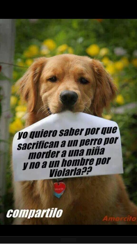 Tamara_Gorro's tweet photo. Que razón!!!!
http://t.co/GHccrolXwf http://t.co/1g5Imwn4jj