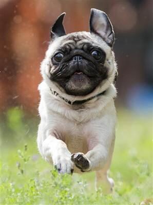 christabillich's tweet photo. Happy Friday ! http://t.co/XEA5PVLR8P