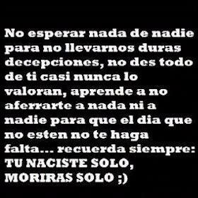 LUNA MORÁN FLORES (@LUNAMORNFLORES) / Twitter LUNA MORÁN FLORES (@LUNAMORNFLORES) / Twitter
