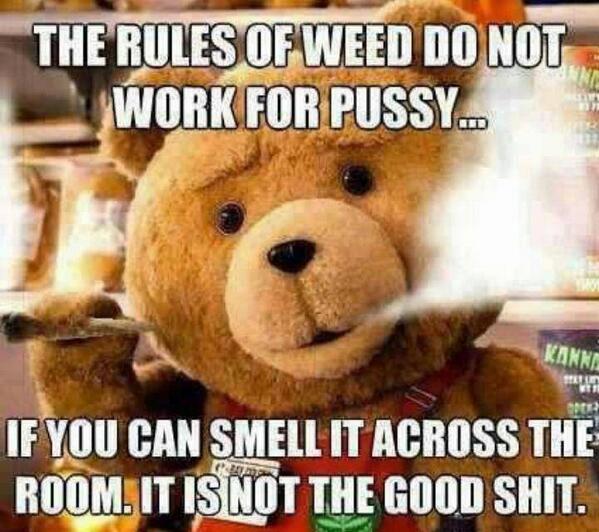 KaneSnowkcmo's tweet image. 