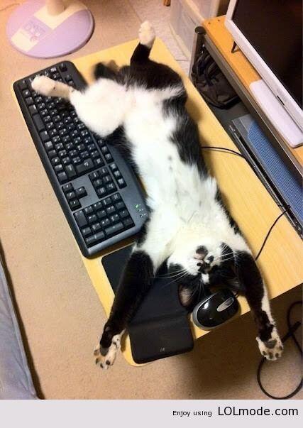 RTalsjehetziet tweet picture