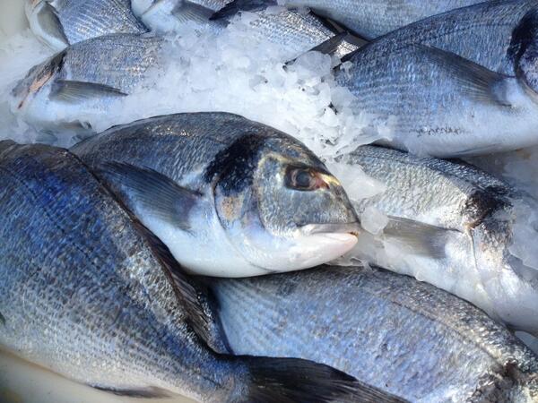 CowdrayFarmShop's tweet photo. Friday Fish day - Andrew Johnson and his team will be with us from 11.30am until 4pm http://t.co/YOPuQd10SG