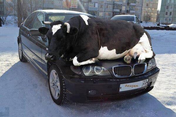 Motor__World tweet picture