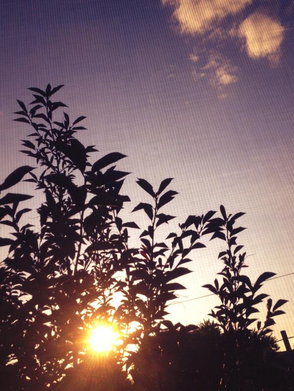 ToastyAlarm's tweet photo. BEEP! BEEP! 7:00 AM. http://t.co/qP0lIbY3Rb