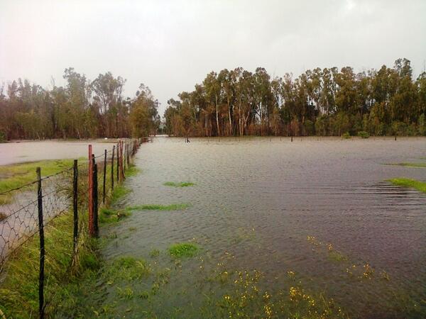 eBooze's tweet image. “Reports that the #BreedeRiver is nearly 1km wide in places. http://t.co/mcul5QEAl9”