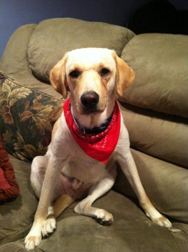 FitOnAMission's tweet image. The love of my life 😘🐾