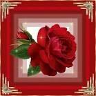 m7md_50001's tweet photo. @kuwaitya1979 مساء الهنا والسرور http://t.co/hKim3NoqWw