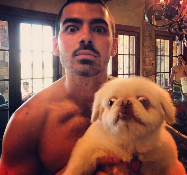 BuzzFeed's tweet photo. The Top 3 Most Perfect, Incredible, Must-See Photos Of @JoeJonas And His Dog http://t.co/lgiaVBuFIi http://t.co/92FcT4YVo7