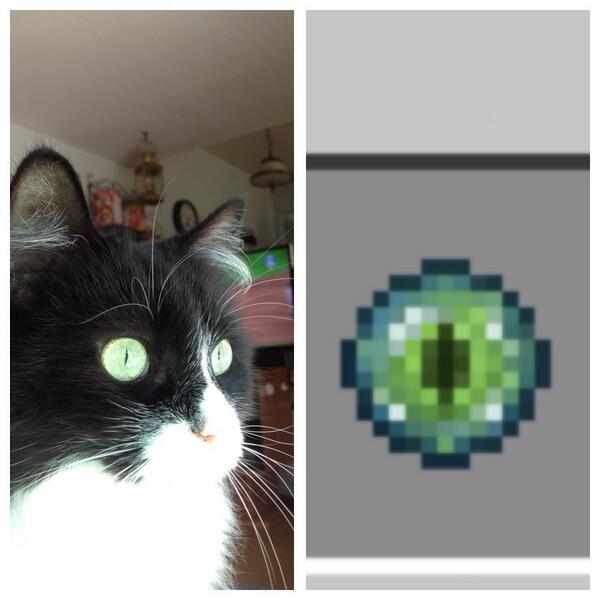 Minecraft_PR0BZ's tweet image. “@always_Wright11: so I'm looking at my grandmas cats eyes and i notice they looked really familiar... http://t.co/pghXOF43Bv”