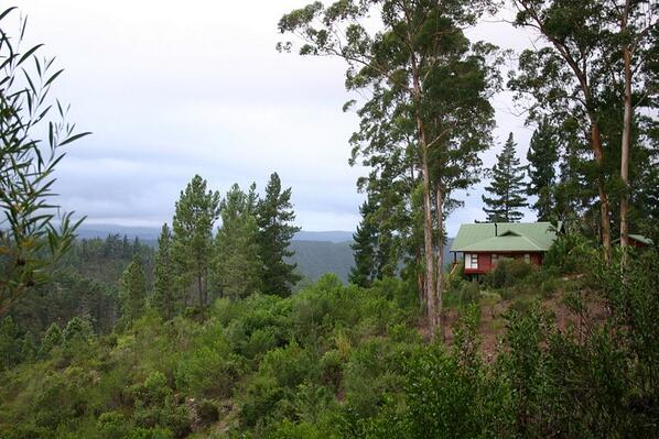 absolutegetaway's tweet photo. Lovely Lulama in Knysna 1/2 price this w/e!  From R900/night. http://t.co/hfj4wchraO http://t.co/j14fmVGRmv