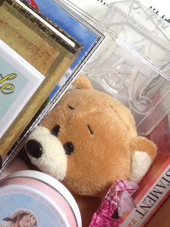 ri_arashick's tweet photo. その丸いカンカンに隠れてるクマはウィーンのシェーンブルン宮殿で4ユーロw http://t.co/7qPDyUnAVn