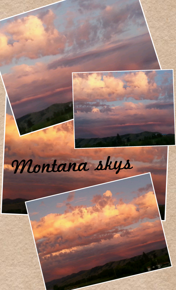 MTladyhunter's tweet photo. #Montana #blessed #thegreatoutdoors http://t.co/GSnnEeZwUR