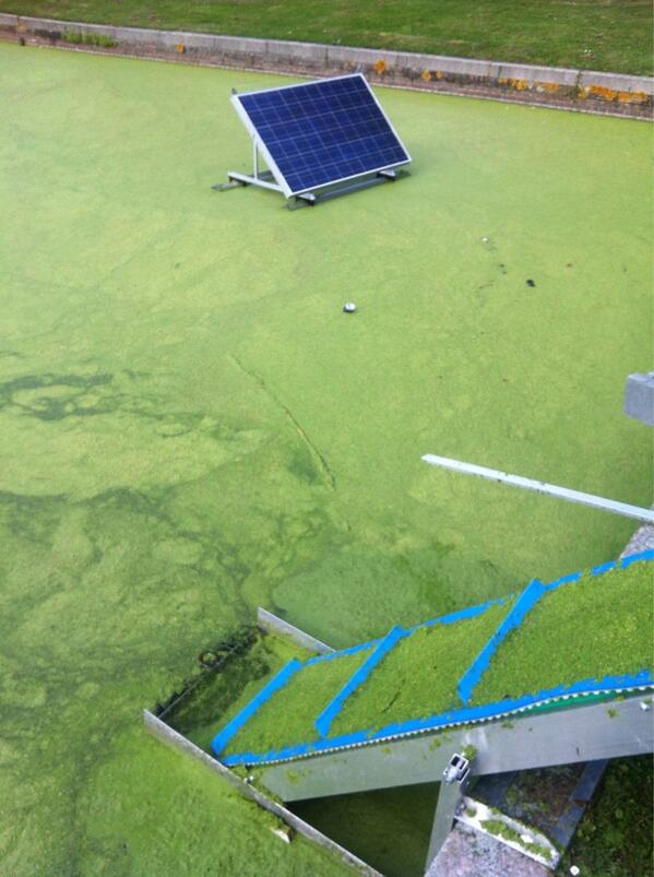 joost_solvent's tweet photo. Nieuw project gerealiseerd. Kroos verwijdermachine werkend op zonneenergie. 
Chrysant plein Den Haag. http://t.co/8D43tnm2JT