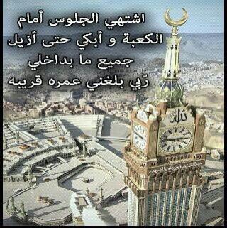 mshrf2 tweet picture