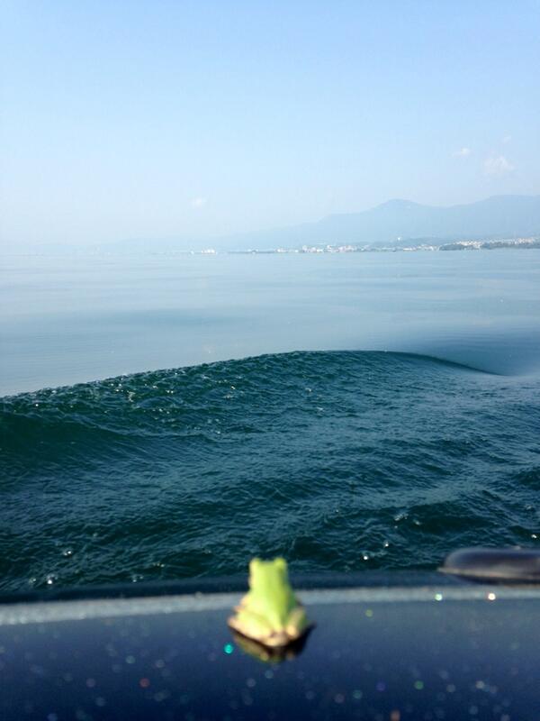 epo21's tweet photo. バイツだけでもオナしゃす状態w  RT“@japangetty: 久しぶりに蛙の神が降臨したんだけど…ミスバイト×3♪ http://t.co/stRwNQjTmr”