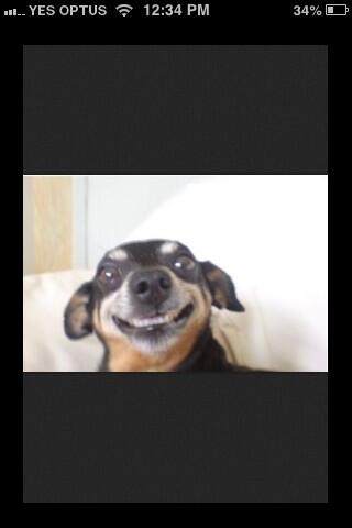 BiersackRadke's tweet photo. @kaylaa_bub does this make u feel better?? :) http://t.co/I3FZKr7DLq