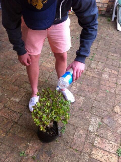 Marshy_90Dan's tweet photo. @Calz04rox @Short1flush @rickiebreese new digs pet #itsnamesroot #life #hellloooo @ABdeVilliers1 @BillGate http://t.co/Ip72sL0isO