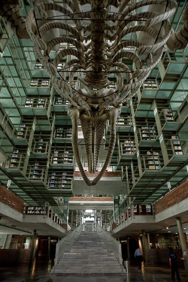 El sábado pasaremos a la biblioteca Vasconselos en la rodada, ¿ya la conoces? cc@foe_itam facebook.com/events/4172513…