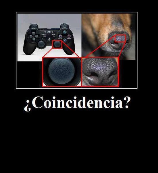 Kristi Alanna on Twitter: "A knob on PlayStation controller is made from a dog's nose?? LOL http://t.co/Y9uhlSQb3b" / Twitter