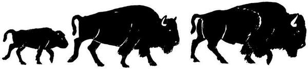 sundarvh's tweet image. New Twitter update #NewTwitterUI