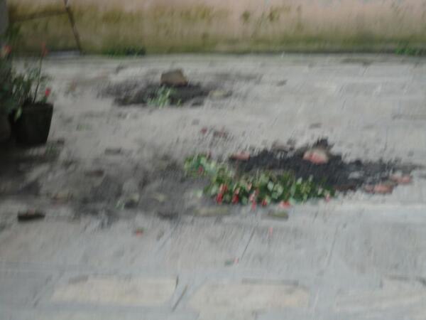 iTuppi's tweet image. @freakamu @SuRayShG #Todfod #Tour #OnceUponATimeInHimalaya