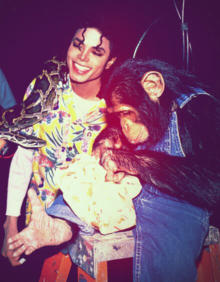 AnimalControlTV's tweet photo. Happy Birthday to one of the biggest animal lovers this world has ever known, Mr. Michael Jackson. #Bubbles http://t.co/khawlMoZYw