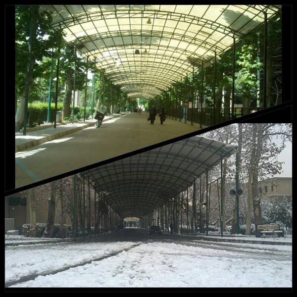 University of Tehran tweet media