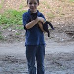 Photo by Misty Brook Farm (@MistyBrookFarm)