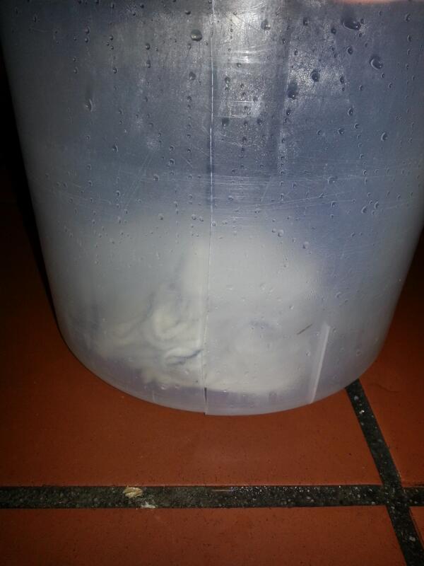 iammrfazoo's tweet image. I just crushed this water container......#dammed