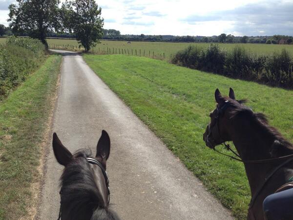 Sra1983's tweet photo. Lovely evening stroll with @matttrevheath eventing... Great job looking after my girls, thank you :-) http://t.co/GD3up9Bkt4