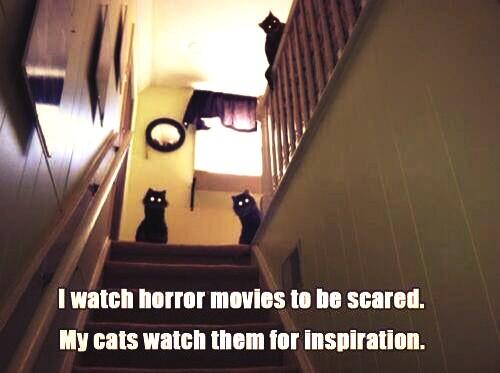 Horror-Films.TV tweet media