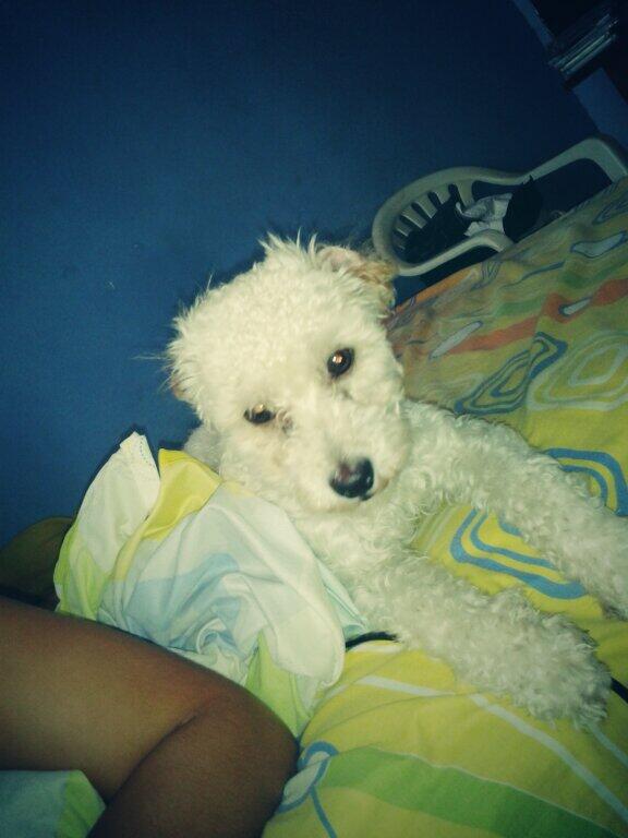 chursy95's tweet photo. Godito http://t.co/SjH8zF9J62