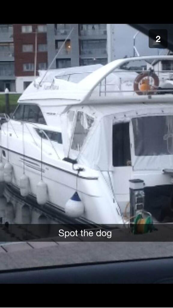 ShaneMooney11's tweet image. A photo of our small dog Milly on the boat. I will be impressed if anyone can find her in the photo #FindTheDog