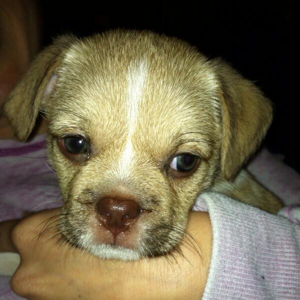skythedogg's tweet image. Admit it, I was adorable #tbt #throwbackthursday #thirdborn