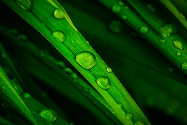 Ben J Photography tweet media