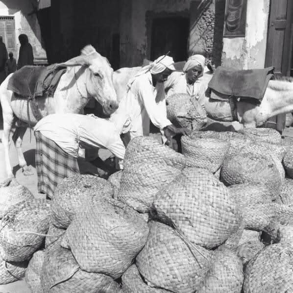 hashalhsa's tweet image. صورة: لسوق  التمر ب# الاحساء قديما

من @asdf4255
#الأحساء