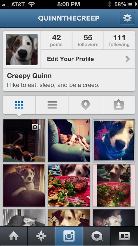 MadisonTitan's tweet photo. Yes, my #creepy #awesome #dog now has an #instagram. #Follow Creepy Quinn, it's the right thing to do. http://t.co/xZSM7GWB60