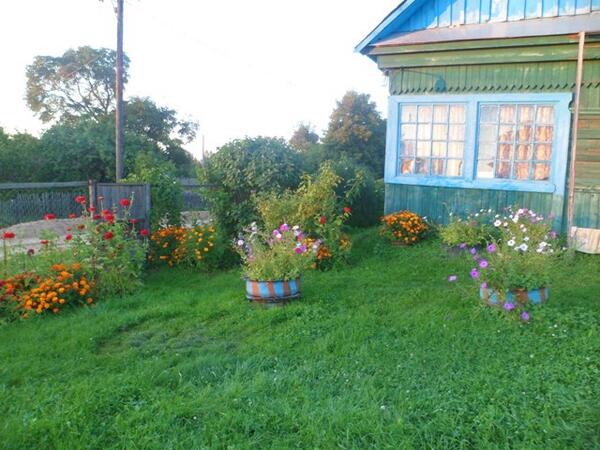 AlenicheffAI's tweet photo. @GruzdevVladimir  Благоустройство с.Березово ул.Кирова д.169. http://t.co/6kPoDRDSp1