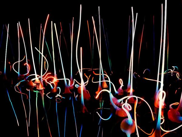 saswade's tweet photo. Speechless in Seattle , at Chihuly glass and garden, Seattle http://t.co/38sB9GU9kM http://t.co/5kQSjCMpVl