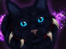Scourge (@bc_insaneleader) on Twitter photo 
