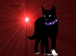 Scourge (@bc_insaneleader) on Twitter photo 
