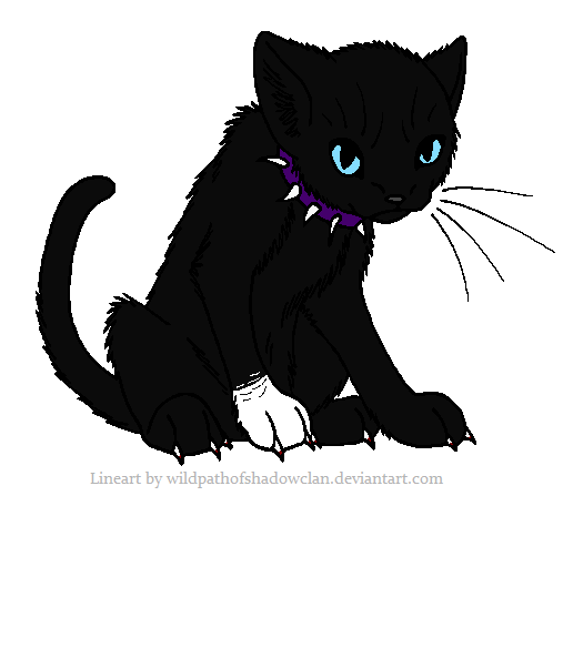 Scourge (@bc_insaneleader) on Twitter photo 
