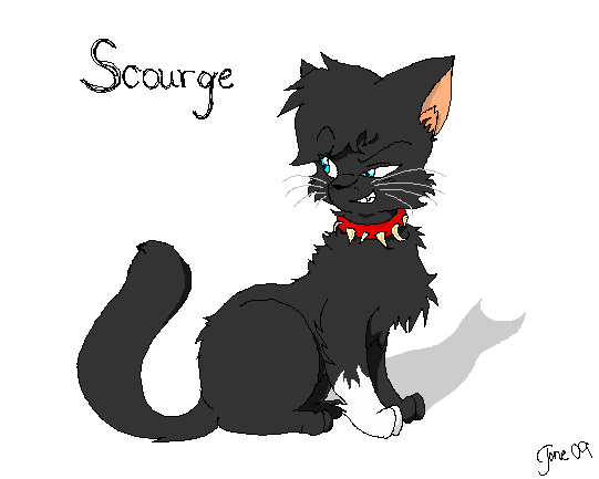 Scourge (@bc_insaneleader) on Twitter photo 