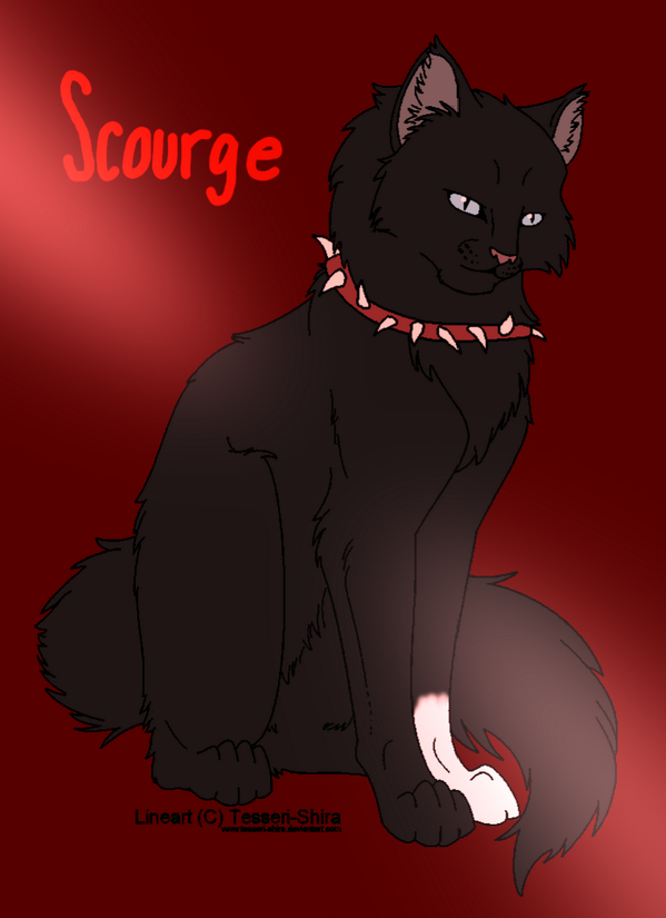 Scourge (@bc_insaneleader) on Twitter photo 