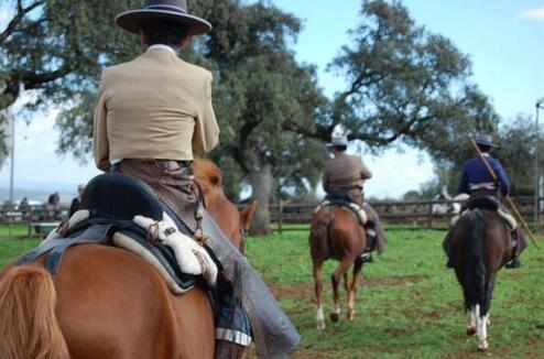 Conociendo el mundo a través de las orejas de un caballo.