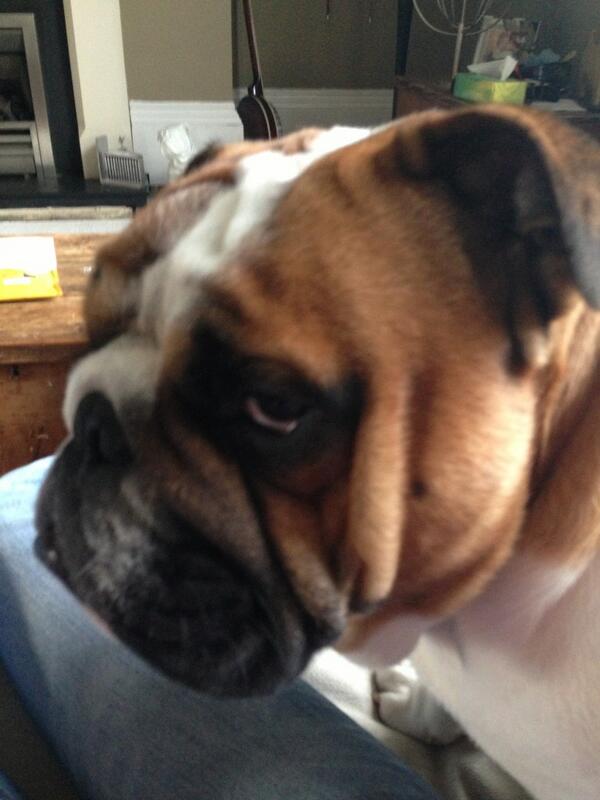 Someone is annoyed he doesn't have my 100% attention