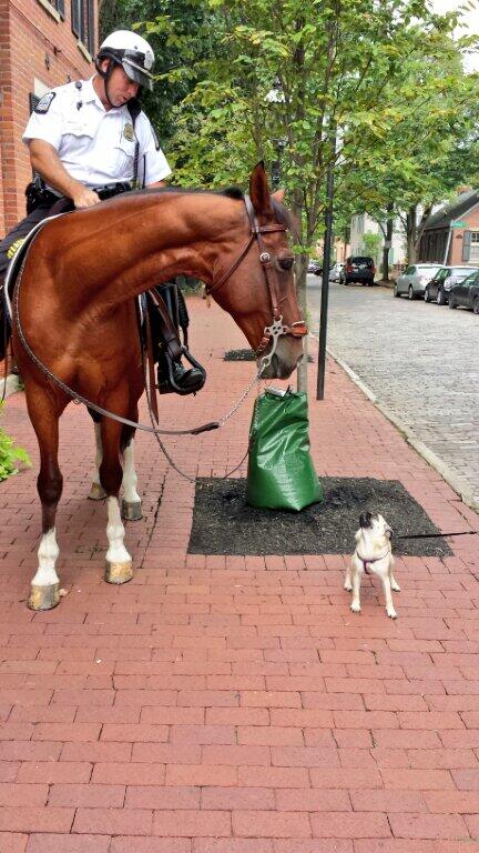 Lindey's Restaurant tweet media