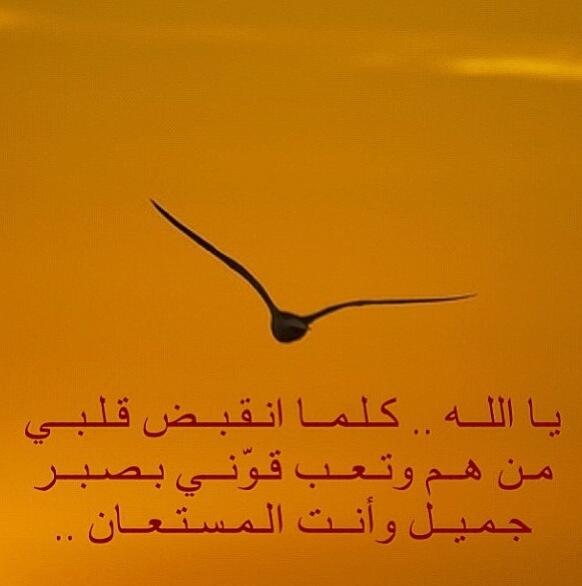 Sa_a11's tweet photo. http://t.co/iR3WmnUlNL